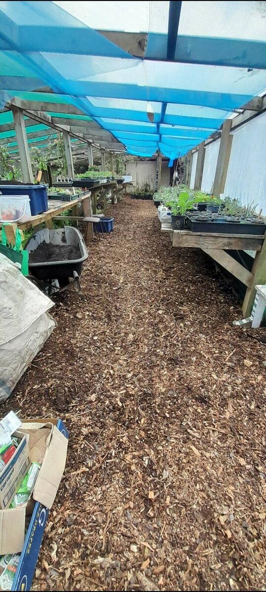 The Greenhouse today