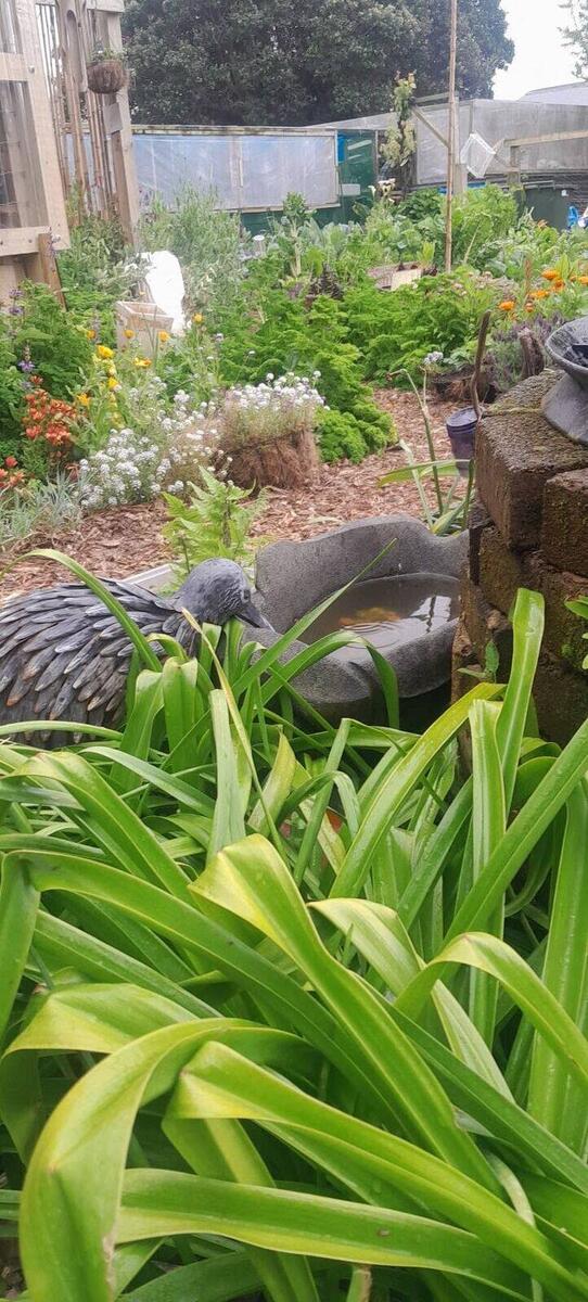 The garden